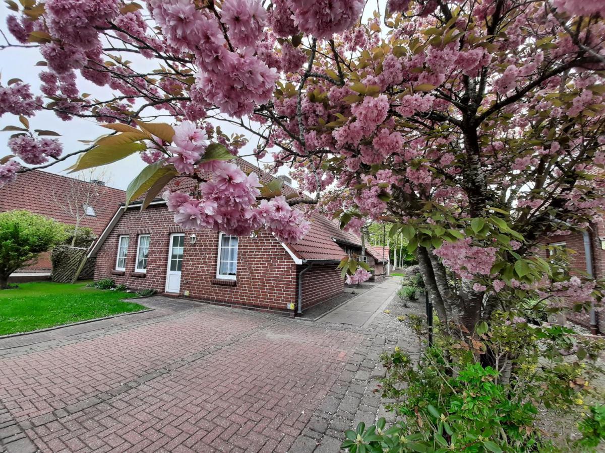 Flut Daire Norden Dış mekan fotoğraf